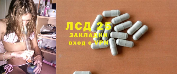 ГАЛЛЮЦИНОГЕННЫЕ ГРИБЫ Костерёво