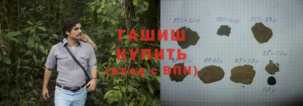 шишки Коряжма