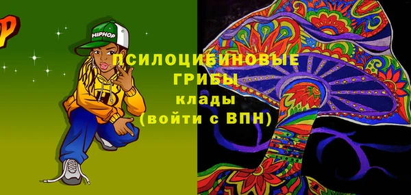 ГАЛЛЮЦИНОГЕННЫЕ ГРИБЫ Костерёво