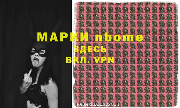 шишки Коряжма