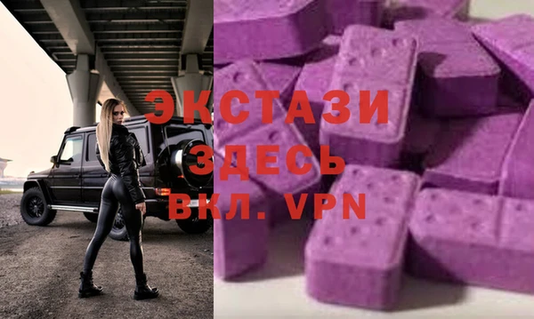 шишки Коряжма