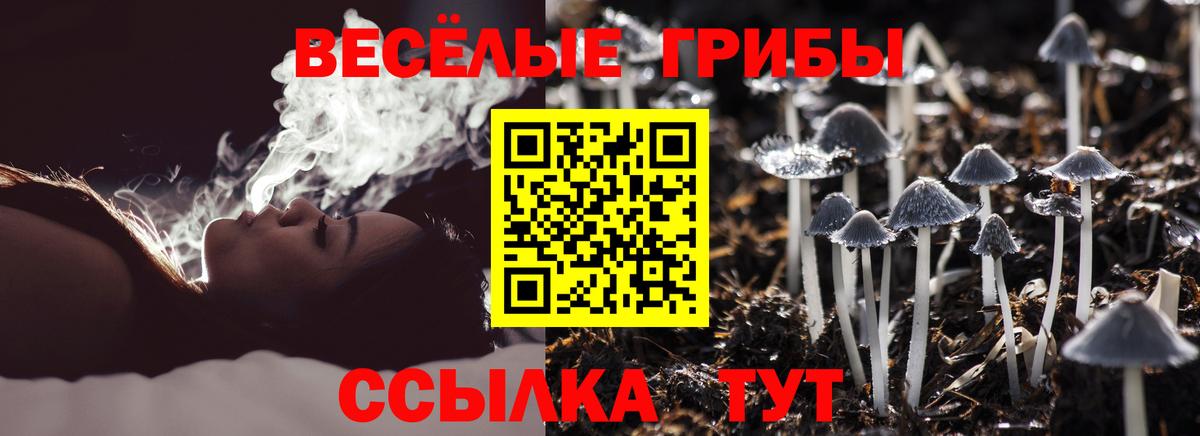 Псилоцибиновые грибы мухоморы  Вход с VPN  Мелеуз 