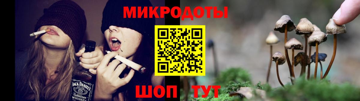 Псилоцибиновые грибы Psilocybe  Мелеуз 